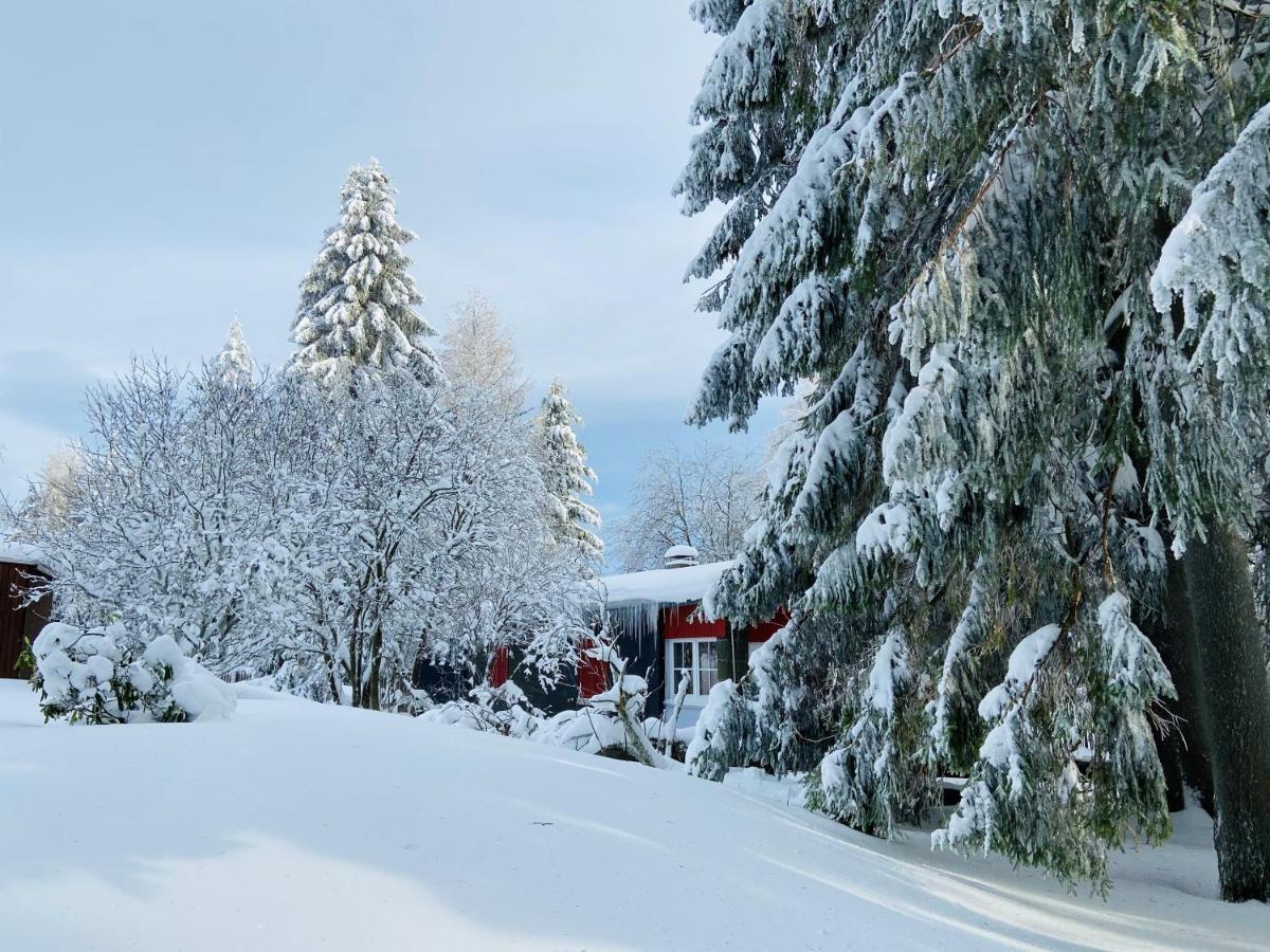 Baude Am Rennsteig Mit 12 Betten Holiday home *