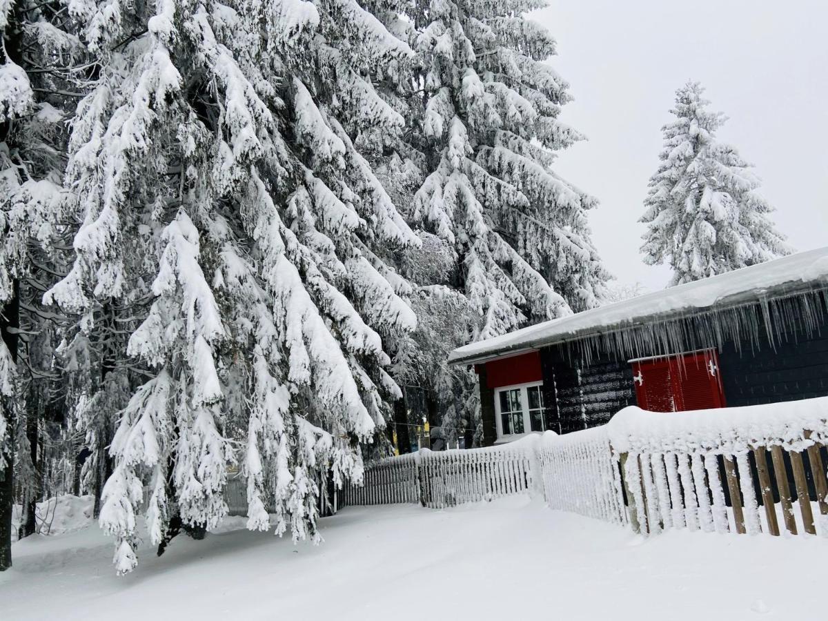 Baude Am Rennsteig Mit 12 Betten Holiday home